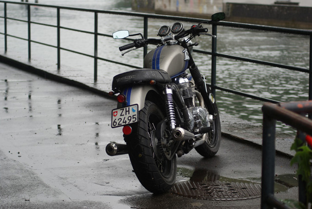 Bonnie Im Regen