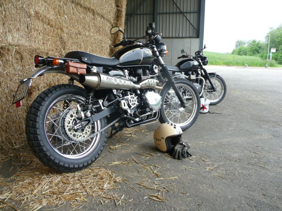 Scrambler Festus