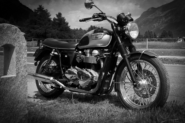 unsere Bonnie