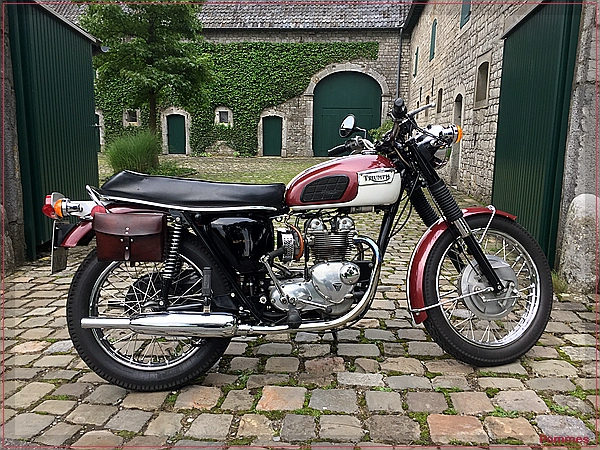 Daytona T100R 1972