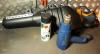 Pott