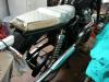 Scrambler halber Auspuff
