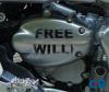 Free Willi