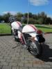 Fifteen's Thruxton SE03