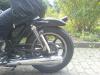 Adelheid11 Adelheid11