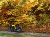 Herbst 1