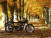 Herbst 2