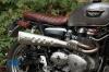 motek Scramb mit Zard motek Scramb mit Zard