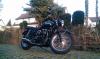 Black Pearl 123 Black Pearl 123