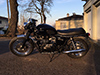 Seegas Bonneville 008