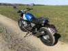 GuzziScrambler6