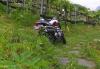 Out n the Green 2