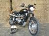 Scrambler Festus Scrambler Festus