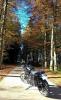 Herbst 03 Herbst 03