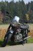 bonnie im herbst 08 bonnie im herbst 08