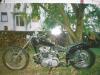 Triumph Tiger Triumph Tiger